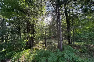 5490 S Harrison Rd, Houghton Lake, MI 48629 - Photo 68