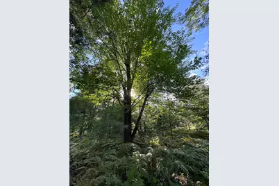 5490 S Harrison Road, Houghton Lake, MI 48629 - Photo 12