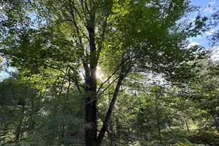 5490 S Harrison Rd, Houghton Lake, MI 48629 - Photo 12