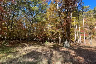 Oakridge Dr, Ludington, MI 49431 - Photo 8