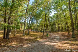 11256 S Roby Lake Dr, Baldwin, MI 49304 - Photo 6