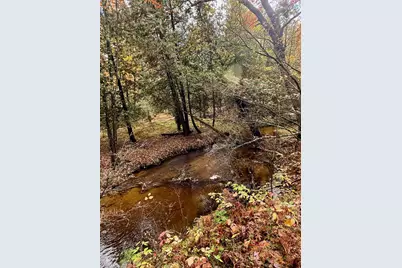 3973 E Creek Wood Drive, Chase, MI 49623 - Photo 50