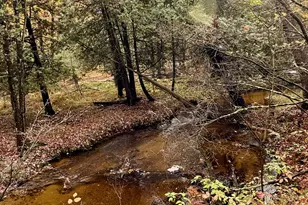 3973 E Creek Wood Dr, Chase, MI 49623 - Photo 50