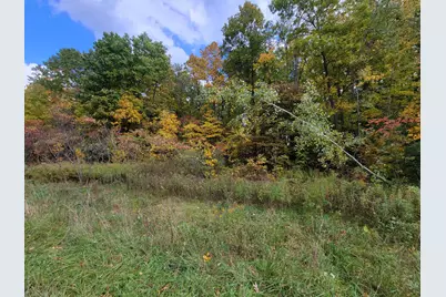 74066 Ridgeway Drive, Lawton, MI 49065 - Photo 4