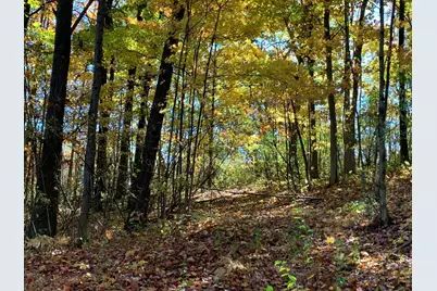 E Rossel Lake Road, Walkerville, MI 49459 - Photo 22