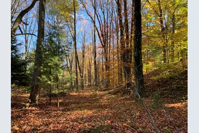 E Rossel Lake Road, Walkerville, MI 49459 - Photo 20