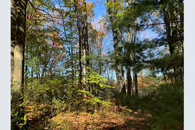 E Rossel Lake Road, Walkerville, MI 49459 - Photo 24