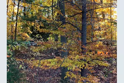 E Rossel Lake Road, Walkerville, MI 49459 - Photo 16
