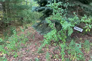 E Rossel Lake Rd, Walkerville, MI 49459 - Photo 1