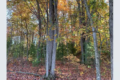 E Rossel Lake Road, Walkerville, MI 49459 - Photo 18