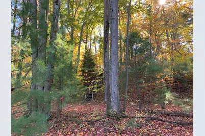 E Rossel Lake Road, Walkerville, MI 49459 - Photo 10