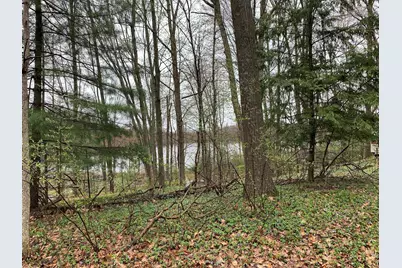 E Rossel Lake Road, Walkerville, MI 49459 - Photo 42