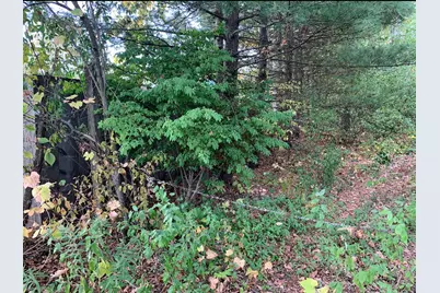 E Rossel Lake Road, Walkerville, MI 49459 - Photo 2