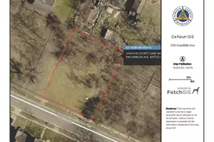 598 W Hamblin Ave, Battle Creek, MI 49037 - Photo 1