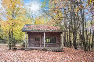 8020 E 98th Street E, Howard City, MI 49329 - Photo 46