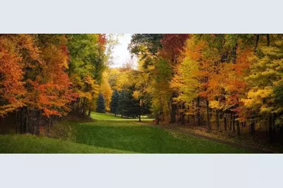 9721 Willow Road, Canadian Lakes, MI 49346 - Photo 36