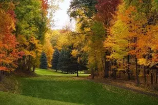 9721 Willow Rd, Canadian Lakes, MI 49346 - Photo 36