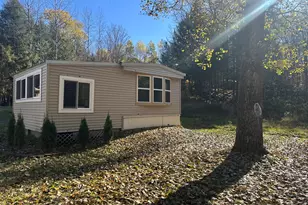 5423 N Karley Ct, Luther, MI 49656 - Photo 12