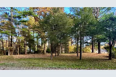 4036 S Cypress Avenue, Newaygo, MI 49337 - Photo 1