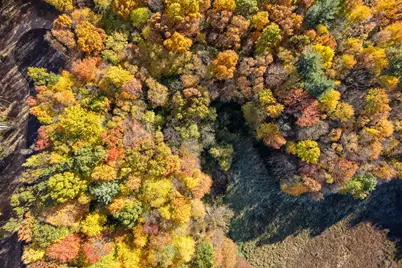 11355 Angel Woods Drive NE, Rockford, MI 49341 - Photo 16