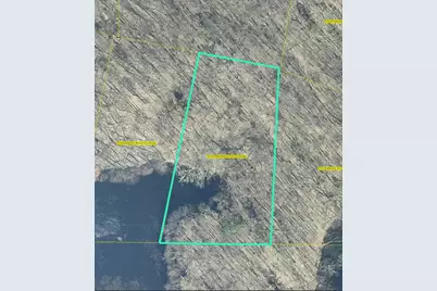 11333 Angel Woods Drive NE, Rockford, MI 49341 - Photo 2