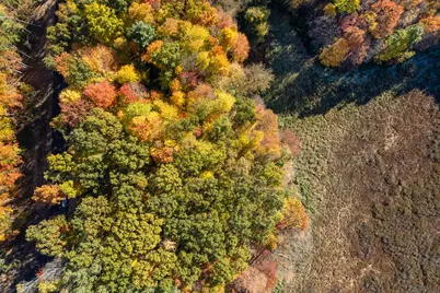 11333 Angel Woods Drive NE, Rockford, MI 49341 - Photo 14