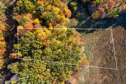 10790 14 Mile Road NE, Rockford, MI 49341 - Photo 14