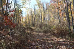 401 S Bass Lake Ave, Harrison, MI 48625 - Photo 82