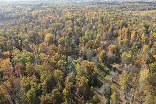 401 S Bass Lake Ave, Harrison, MI 48625 - Photo 68