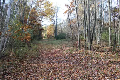 401 S Bass Lake Avenue, Harrison, MI 48625 - Photo 84