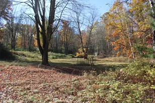 401 S Bass Lake Ave, Harrison, MI 48625 - Photo 72