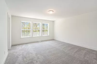 15250 Alister Mackenzie Avenue, Augusta, MI 49012 - Photo 22