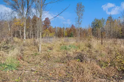 Vl 3.87Ac. 24th Avenue, Grand Junction, MI 49056 - Photo 2