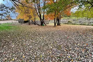 6600 Calhoun Rd, Albion, MI 49224 - Photo 22