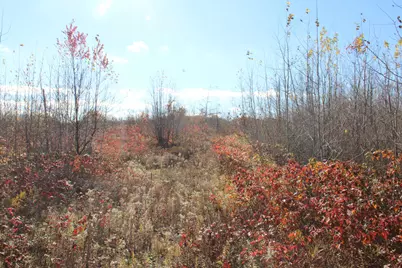 0Vl Harrison Railroad Grade, Harrison, MI 48625 - Photo 16
