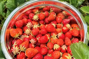 22942 M-43, Kalamazoo, MI 49009 - Photo 60