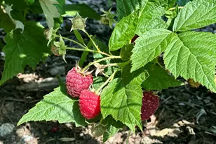 22942 M-43, Kalamazoo, MI 49009 - Photo 66