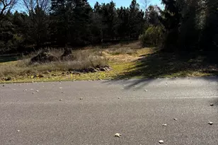 2759 E Michigan St, Free Soil, MI 49411 - Photo 6