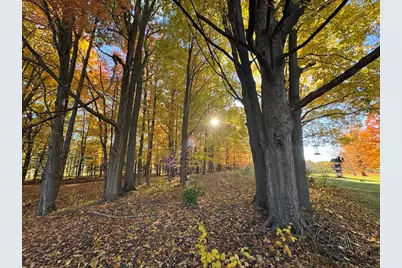 4116 Dutcher Road, Gladwin, MI 48624 - Photo 98