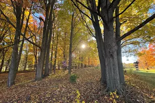 4116 Dutcher Rd, Gladwin, MI 48624 - Photo 98