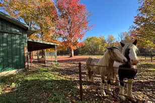 4116 Dutcher Rd, Gladwin, MI 48624 - Photo 112