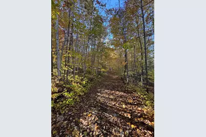 4116 Dutcher Road, Gladwin, MI 48624 - Photo 88