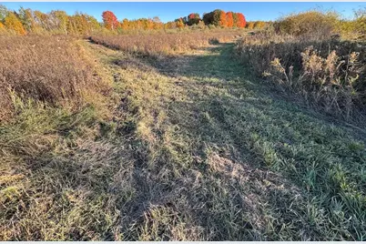 4116 Dutcher Road, Gladwin, MI 48624 - Photo 128