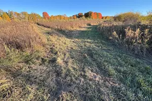 4116 Dutcher Rd, Gladwin, MI 48624 - Photo 128