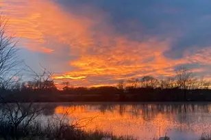 9975 Young Ave NE, Rockford, MI 49341 - Photo 20