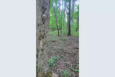 44702 56th Avenue, Paw Paw, MI 49079 - Photo 18