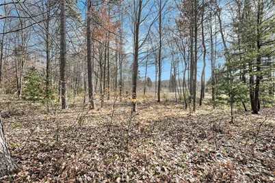 12215 Lila Court, Stanwood, MI 49346 - Photo 8