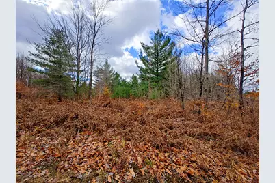 Vl Mancelona Road, Mancelona, MI 49659 - Photo 20