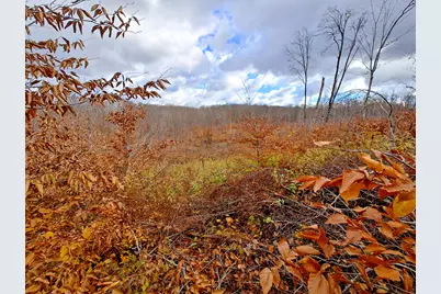 Vl Mancelona Road, Mancelona, MI 49659 - Photo 6