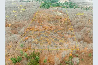 Vl Mancelona Road, Mancelona, MI 49659 - Photo 1